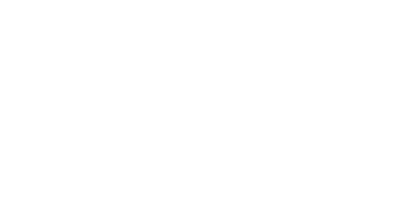 BravesVision